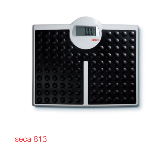 BASCULA DE PISO Marca SECA Modelo 813